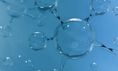 shutterstock_1975046501